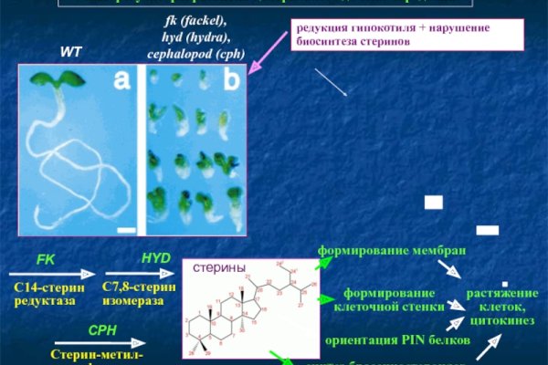 Блэкспрут ссылка тор blacksprut2web in