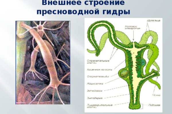 Блэкспрут площадка blacksprut2web in