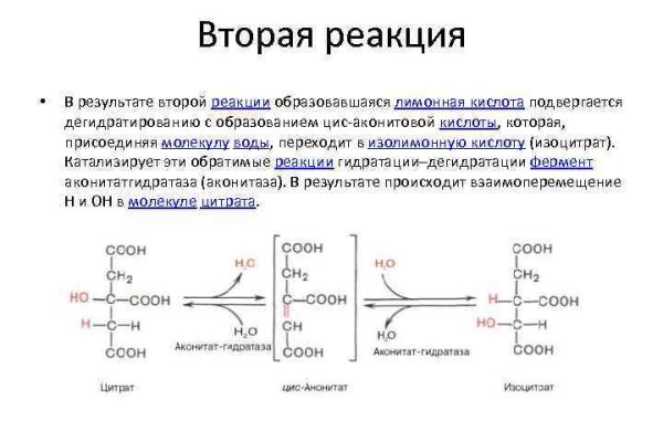 Оригинальная ссылка на blacksprut