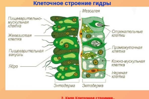 Настоящая blacksprut blacksprute com